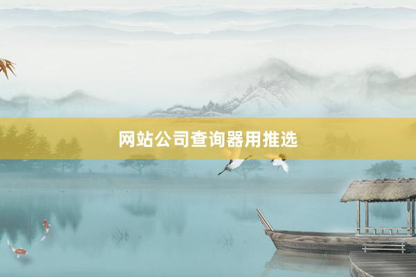 网站公司查询器用推选
