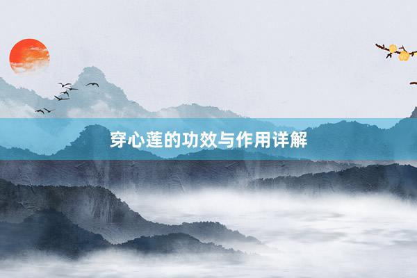 穿心莲的功效与作用详解