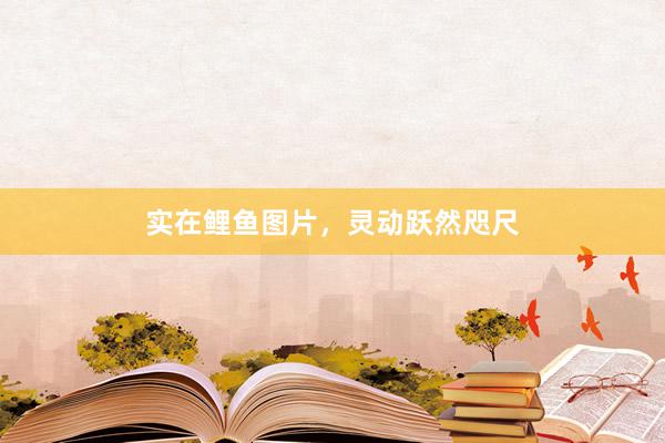 实在鲤鱼图片，灵动跃然咫尺