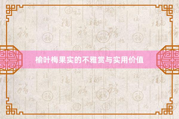 榆叶梅果实的不雅赏与实用价值