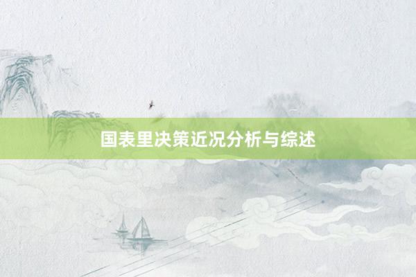 国表里决策近况分析与综述