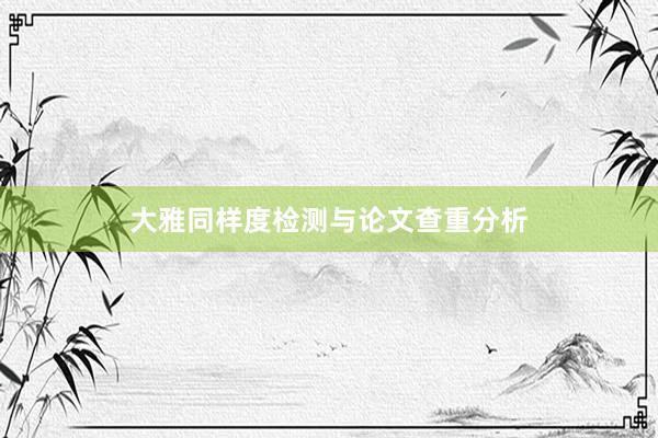 大雅同样度检测与论文查重分析