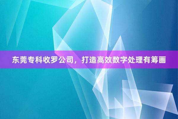东莞专科收罗公司,打造高效数字处理有筹画